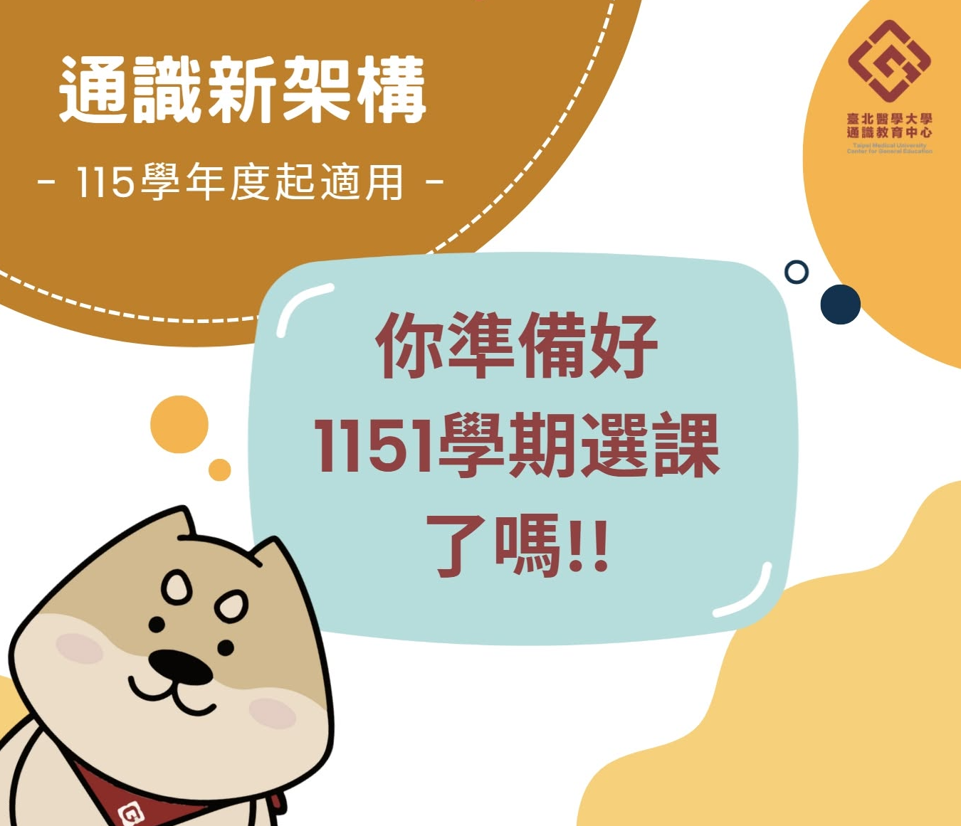 這是一張圖片